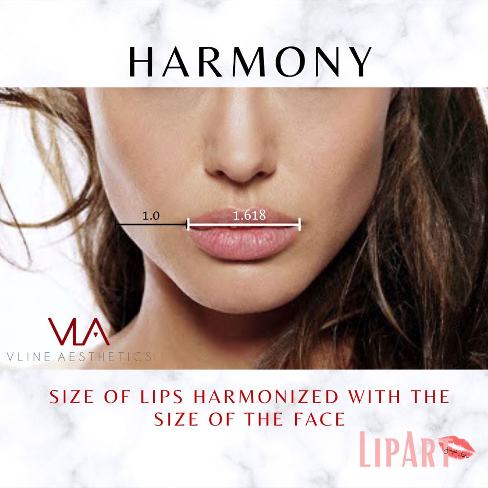 Lip harmomy skin perfect brothers